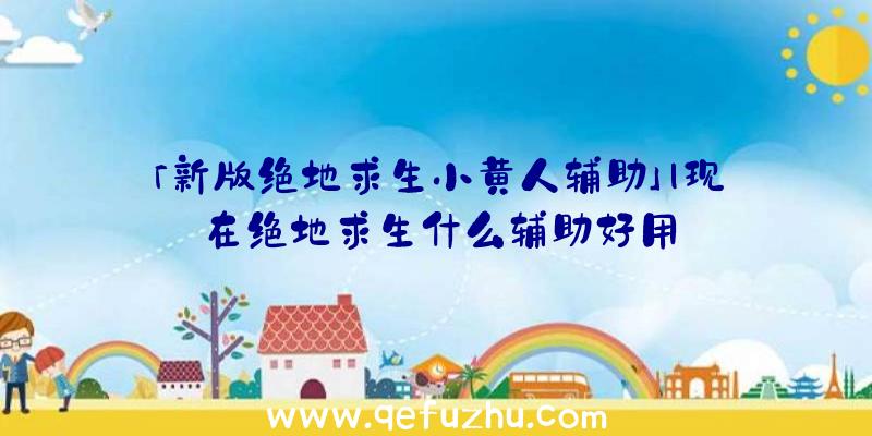 「新版绝地求生小黄人辅助」|现在绝地求生什么辅助好用